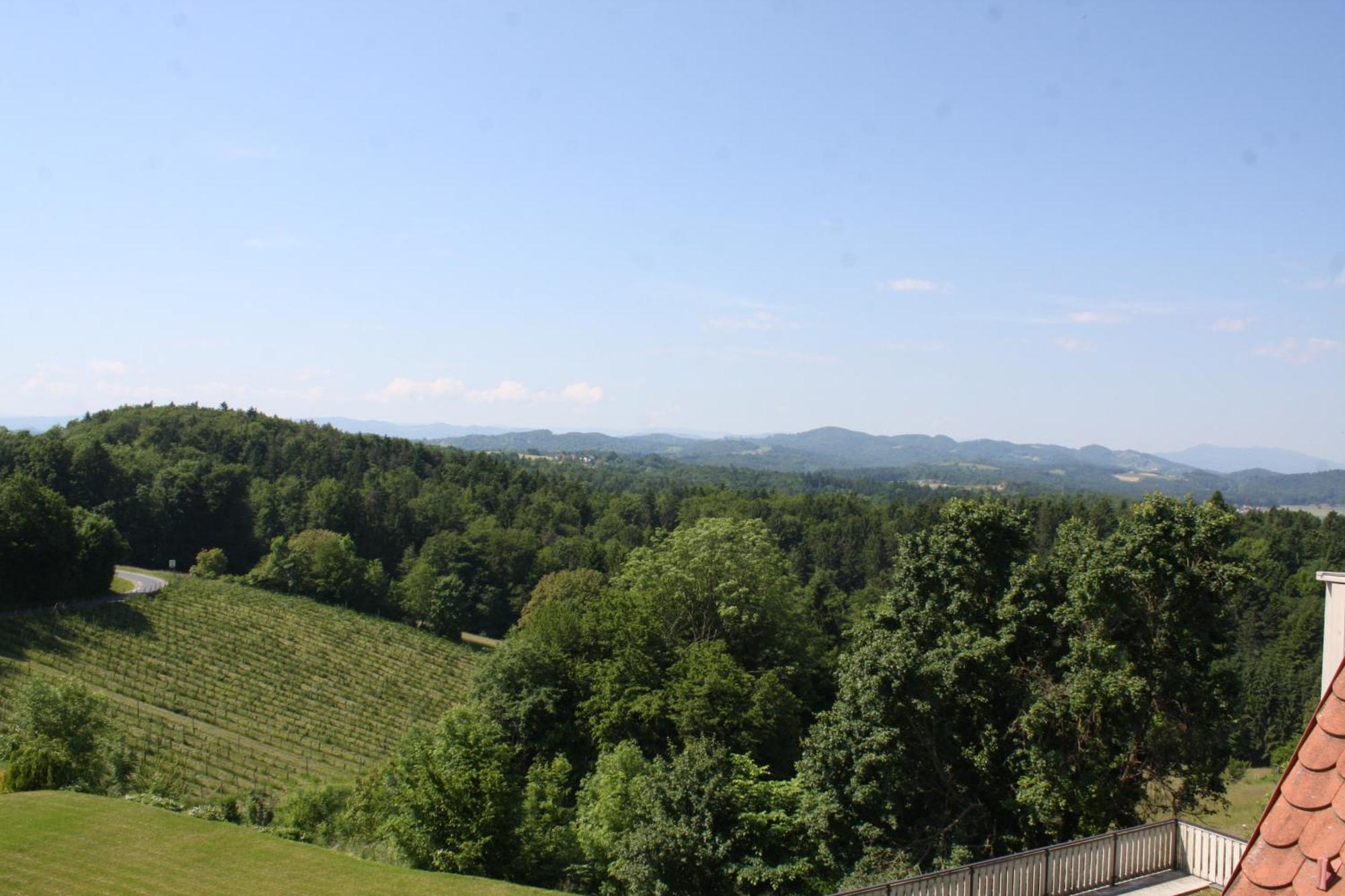 Hotel Garni am Seggauberg Leibnitz Bagian luar foto